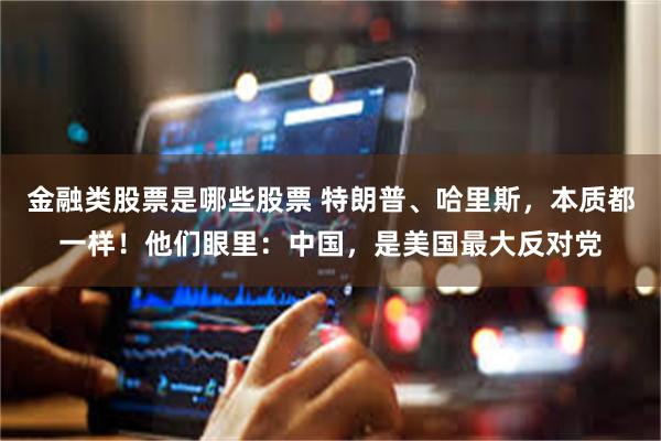 金融类股票是哪些股票 特朗普、哈里斯，本质都一样！他们眼里：中国，是美国最大反对党
