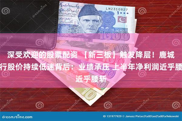 深受欢迎的股票配资 【新三板】触发降层！鹿城银行股价持续低迷背后：业绩承压 上半年净利润近乎腰斩