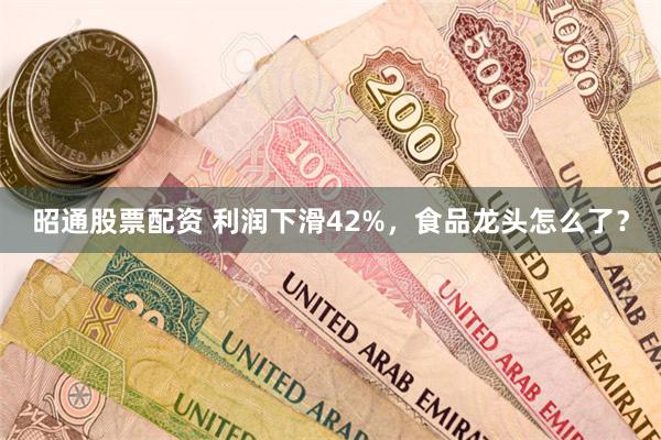 昭通股票配资 利润下滑42%，食品龙头怎么了？