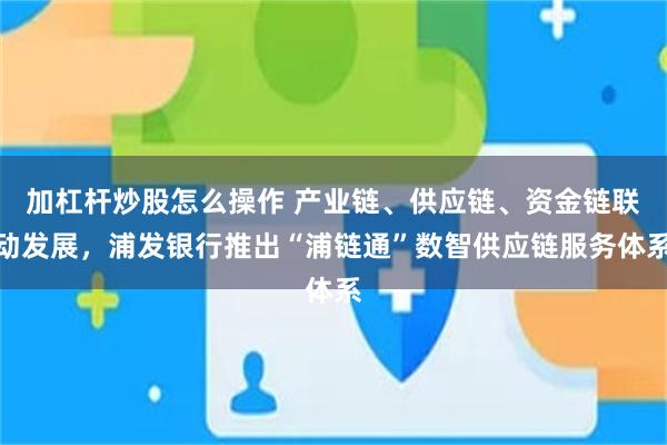 加杠杆炒股怎么操作 产业链、供应链、资金链联动发展，浦发银行推出“浦链通”数智供应链服务体系