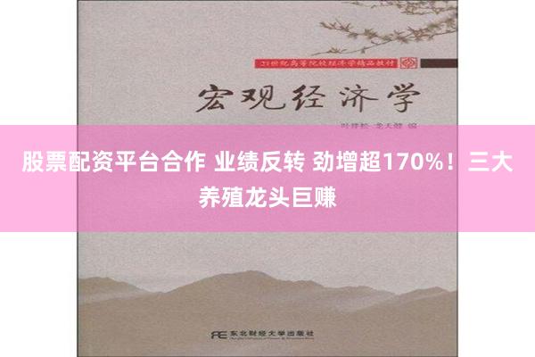 股票配资平台合作 业绩反转 劲增超170%！三大养殖龙头巨赚