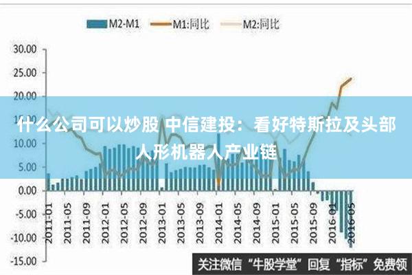 什么公司可以炒股 中信建投：看好特斯拉及头部人形机器人产业链