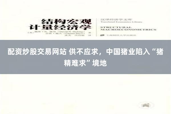 配资炒股交易网站 供不应求，中国猪业陷入“猪精难求”境地