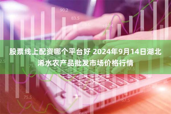股票线上配资哪个平台好 2024年9月14日湖北浠水农产品批发市场价格行情