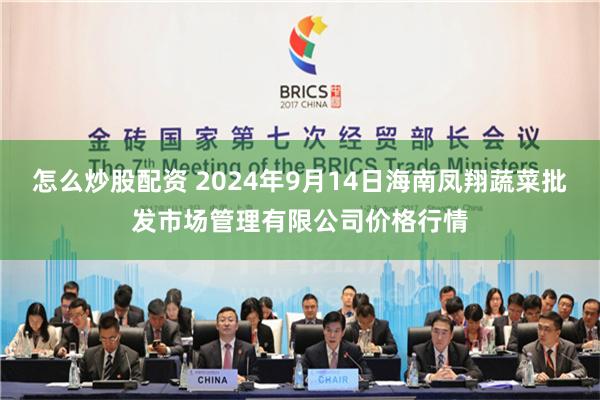 怎么炒股配资 2024年9月14日海南凤翔蔬菜批发市场管理有限公司价格行情