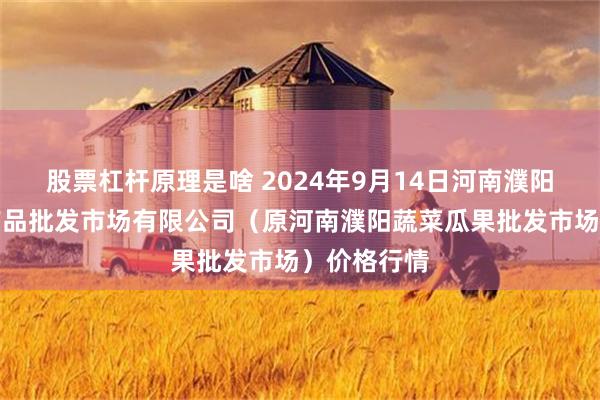 股票杠杆原理是啥 2024年9月14日河南濮阳宏进农副产品批发市场有限公司（原河南濮阳蔬菜瓜果批发市场）价格行情