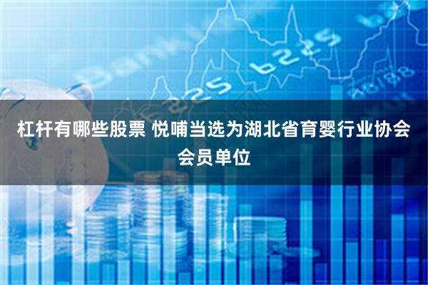 杠杆有哪些股票 悦哺当选为湖北省育婴行业协会会员单位