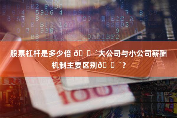 股票杠杆是多少倍 🔴大公司与小公司薪酬机制主要区别🔴？
