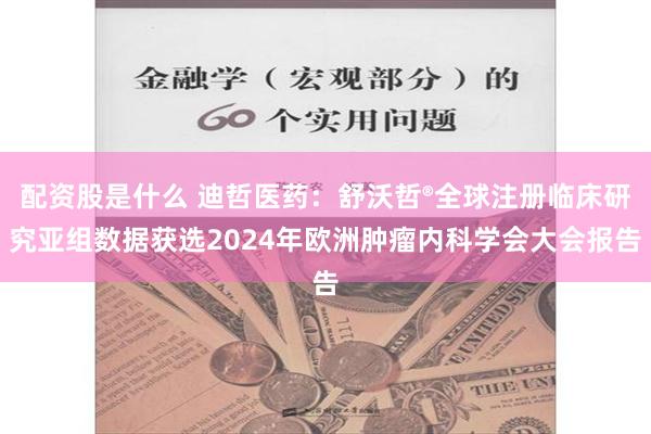 配资股是什么 迪哲医药：舒沃哲®全球注册临床研究亚组数据获选2024年欧洲肿瘤内科学会大会报告
