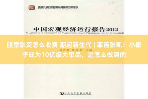 股票融资怎么收费 潮起新生代 | 菲诺张凯：小椰子成为10亿级大单品，是怎么做到的