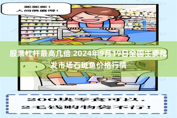 股票杠杆最高几倍 2024年9月19日全国主要批发市场石斑鱼价格行情