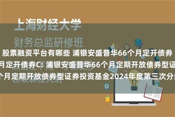 股票融资平台有哪些 浦银安盛普华66个月定开债券A,浦银安盛普华66个月定开债券C: 浦银安盛普华66个月定期开放债券型证券投资基金2024年度第三次分红公告