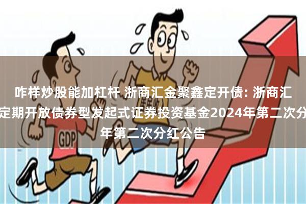 咋样炒股能加杠杆 浙商汇金聚鑫定开债: 浙商汇金聚鑫定期开放债券型发起式证券投资基金2024年第二次分红公告