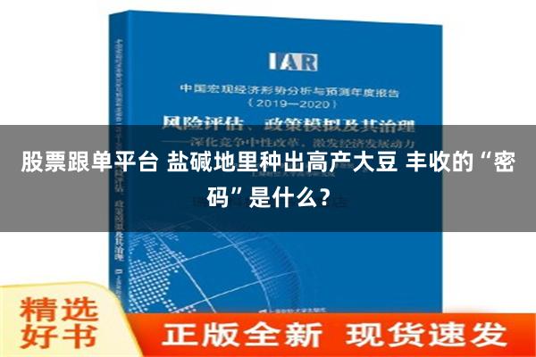 股票跟单平台 盐碱地里种出高产大豆 丰收的“密码”是什么？