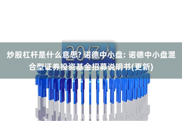 炒股杠杆是什么意思? 诺德中小盘: 诺德中小盘混合型证券投资基金招募说明书(更新)