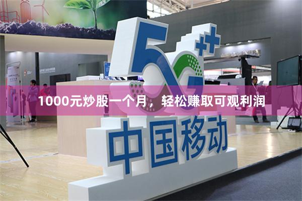 1000元炒股一个月，轻松赚取可观利润