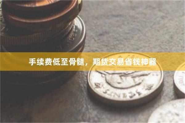手续费低至骨髓，期货交易省钱神器