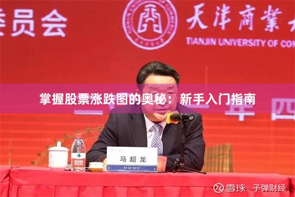 掌握股票涨跌图的奥秘：新手入门指南