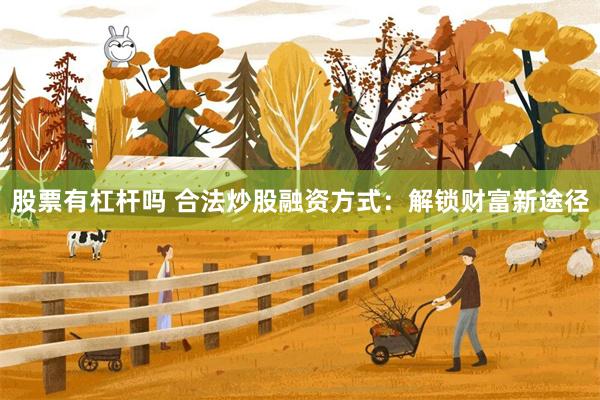 股票有杠杆吗 合法炒股融资方式：解锁财富新途径