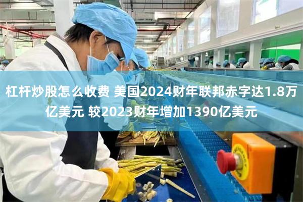 杠杆炒股怎么收费 美国2024财年联邦赤字达1.8万亿美元 较2023财年增加1390亿美元