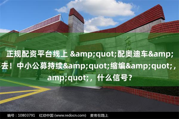 正规配资平台线上 &quot;配奥迪车&quot;都不去！中小公募持续&quot;缩编&quot;，什么信号？