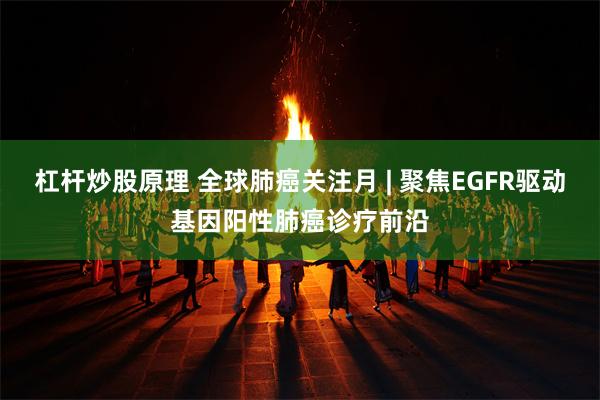 杠杆炒股原理 全球肺癌关注月 | 聚焦EGFR驱动基因阳性肺癌诊疗前沿