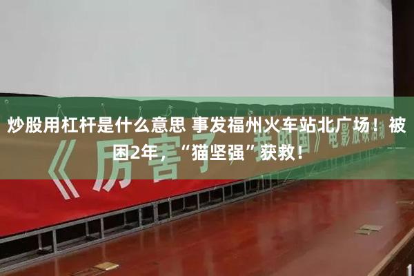 炒股用杠杆是什么意思 事发福州火车站北广场！被困2年，“猫坚强”获救！