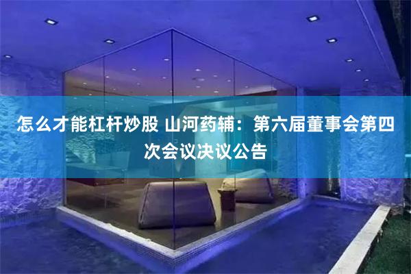 怎么才能杠杆炒股 山河药辅：第六届董事会第四次会议决议公告
