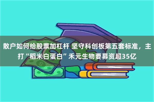 散户如何给股票加杠杆 坚守科创板第五套标准，主打“稻米白蛋白”禾元生物要募资超35亿