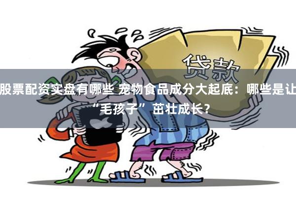 股票配资实盘有哪些 宠物食品成分大起底：哪些是让 “毛孩子” 茁壮成长？