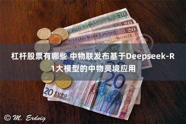 杠杆股票有哪些 中物联发布基于Deepseek-R1大模型的中物灵境应用