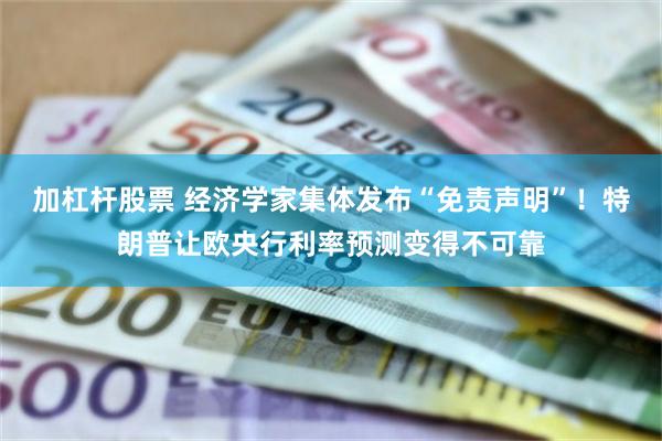加杠杆股票 经济学家集体发布“免责声明”！特朗普让欧央行利率预测变得不可靠