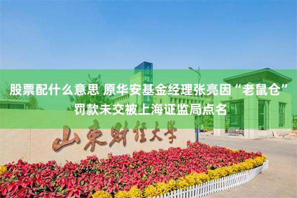 股票配什么意思 原华安基金经理张亮因“老鼠仓” 罚款未交被上海证监局点名