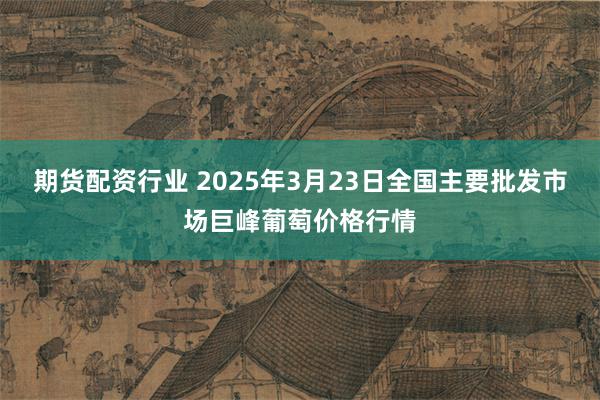 期货配资行业 2025年3月23日全国主要批发市场巨峰葡萄价格行情