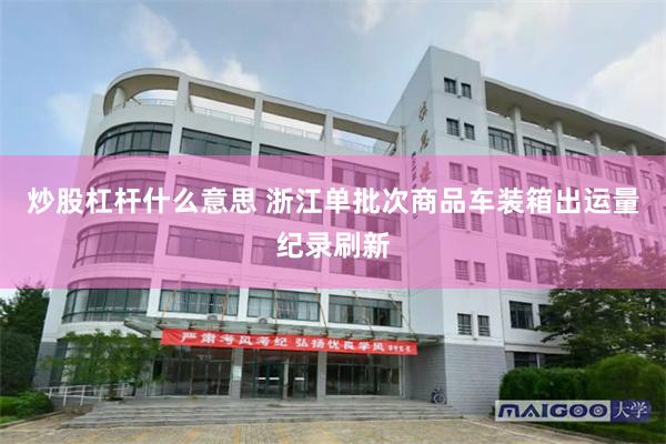 炒股杠杆什么意思 浙江单批次商品车装箱出运量纪录刷新