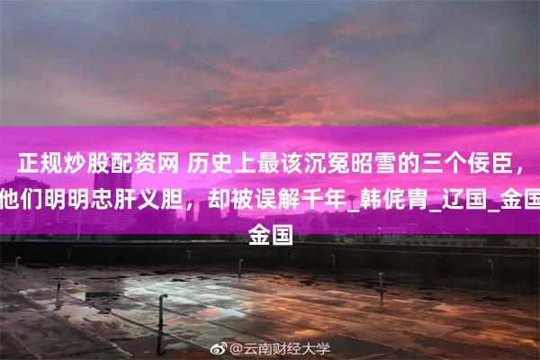 正规炒股配资网 历史上最该沉冤昭雪的三个佞臣，他们明明忠肝义胆，却被误解千年_韩侂胄_辽国_金国