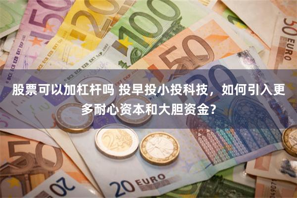 股票可以加杠杆吗 投早投小投科技，如何引入更多耐心资本和大胆资金？
