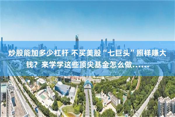 炒股能加多少杠杆 不买美股“七巨头”照样赚大钱？来学学这些顶尖基金怎么做……