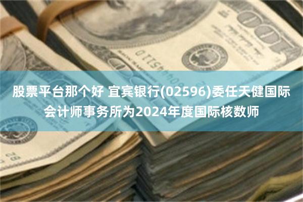 股票平台那个好 宜宾银行(02596)委任天健国际会计师事务所为2024年度国际核数师