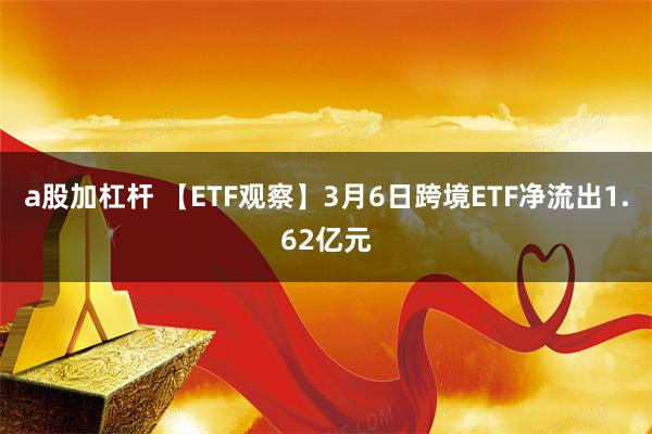 a股加杠杆 【ETF观察】3月6日跨境ETF净流出1.62亿元