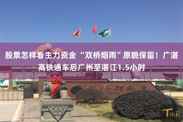 股票怎样看主力资金 “双桥烟雨”原貌保留！广湛高铁通车后广州至湛江1.5小时
