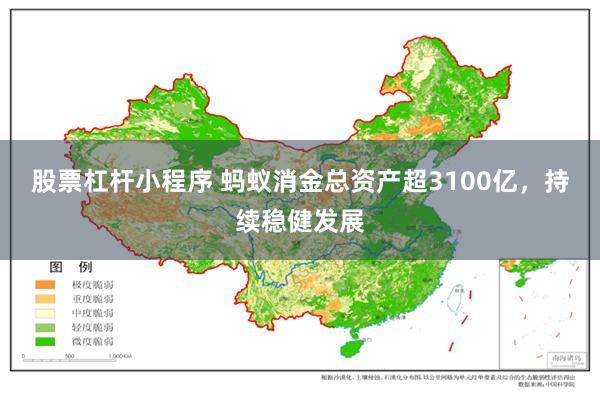 股票杠杆小程序 蚂蚁消金总资产超3100亿，持续稳健发展