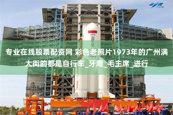 专业在线股票配资网 彩色老照片1973年的广州满大街的都是自行车_牙雕_毛主席_进行