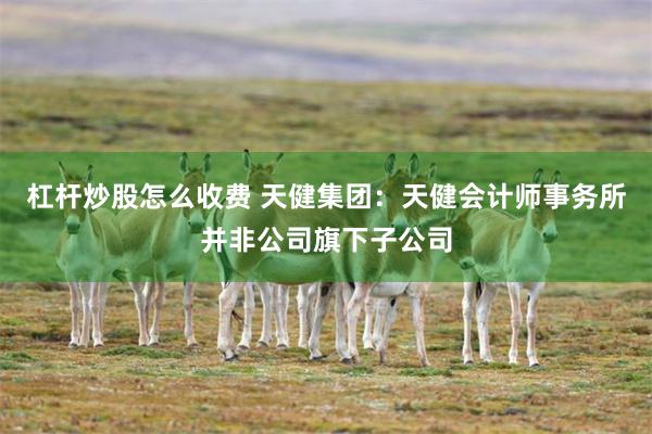 杠杆炒股怎么收费 天健集团：天健会计师事务所并非公司旗下子公司