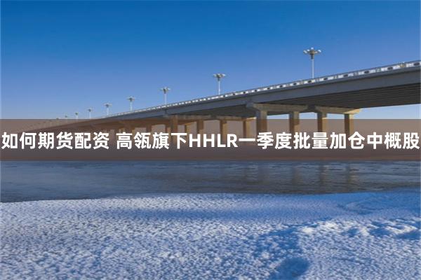 如何期货配资 高瓴旗下HHLR一季度批量加仓中概股