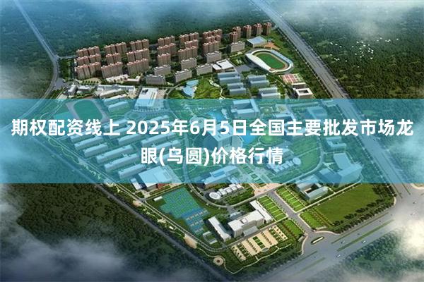 期权配资线上 2025年6月5日全国主要批发市场龙眼(乌圆)价格行情