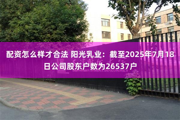 配资怎么样才合法 阳光乳业：截至2025年7月18日公司股东户数为26537户