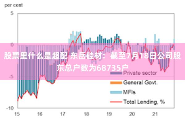 股票里什么是超配 东岳硅材：截至7月18日公司股东总户数为68735户