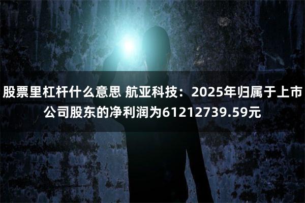 股票里杠杆什么意思 航亚科技：2025年归属于上市公司股东的净利润为61212739.59元