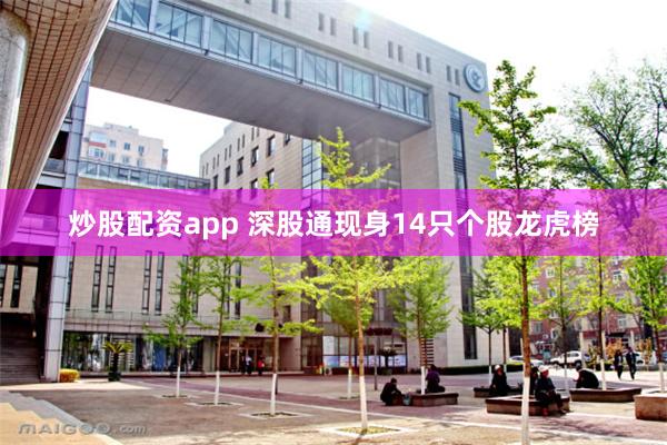 炒股配资app 深股通现身14只个股龙虎榜